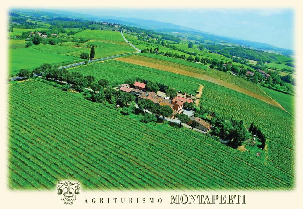 卡斯德尔诺沃贝拉登卡Agriturismo Montaperti别墅 外观 照片